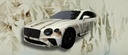 ART CAR Bentley Continental GT provenant du Metaverse A3